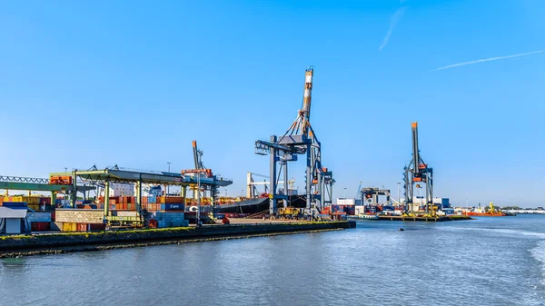 Rotterdam Nederländerna September 2018 Container Kranar Kajerna Waalhaven Viktigaste Terminalerna — Stockfoto