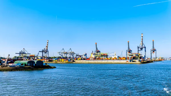 ロッテルダム オランダ 2018 ヨーロッパ大陸に出入りするコンテナーの主要ターミナルの一つ Waalhaven の埠頭でコンテナー クレーン — ストック写真