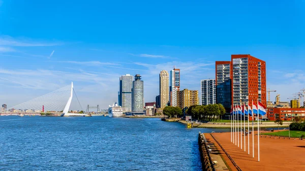 Erasmusbrug Moderne Architectonische High Rise Gebouwen Bij Cruise Terminal Nieuwe — Stockfoto