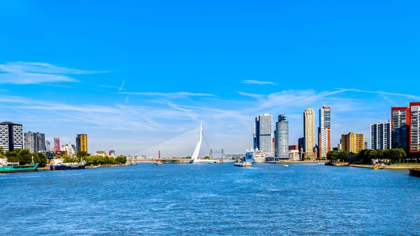 Die Erasmusbrücke Und Moderne Architektonische Hochhäuser Entlang Des Nieuwe Maas — Stockfoto