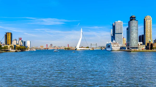 Erasmus Bridge Modern Architectural High Rise Buildings Nieuwe Maas River — Stock Photo, Image