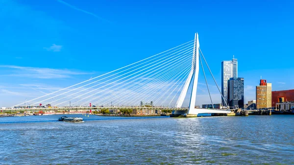 Rotterdam Países Bajos Septiembre 2018 Moderno Puente Erasmus Por Cable — Foto de Stock