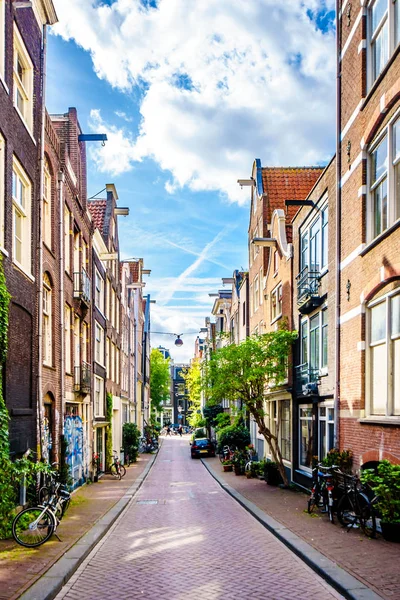 Amsterdam Noord Holland Netherlands 2018 Blumenkübel Vor Historischen Häusern Der — Stockfoto