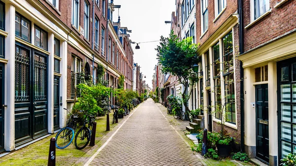 Amsterdam Noord Holland Hollandia Október 2018 Virágcserepek Előtt Történelmi Házak — Stock Fotó