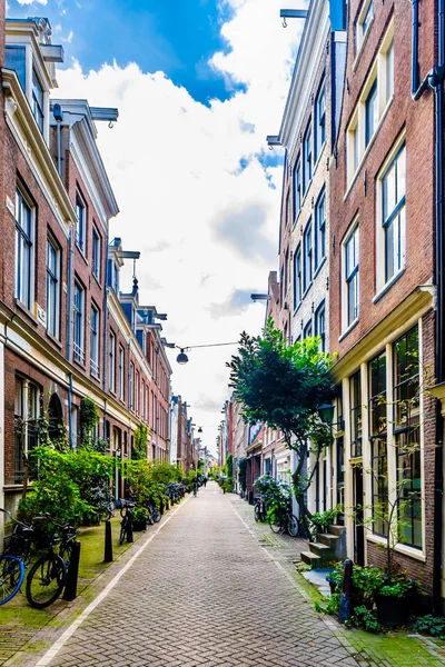 ノールト オランダ オランダ 2018 アムステルダム Brouwersgracht Blauwburgwal Langestraat の歴史的な家の前の植木鉢は アムステルダムの中心部の運河 — ストック写真