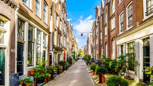 Amsterdam Noord Holland Holanda Outubro 2018 Vasos Flores Frente Casas — Fotografia de Stock