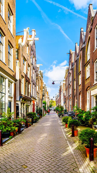Amsterdam, Noord Holland/the Netherlands - Oct. 3 2018: Flower Pots in front of historic houses in the Langestraat between the Brouwersgracht and Blauwburgwal canals in the center of Amsterdam