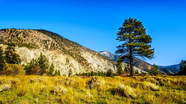 Couleurs Automnales Roches Colorées Long Rivière Thompson White Canyon Près — Photo