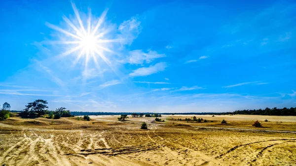 Tramonto Del Sole Sul Mini Deserto Beekhuizerzand Nella Riserva Naturale — Foto Stock