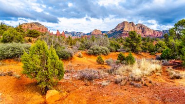 Her küçük at izi başta kuzey Arizona içinde Coconino National Forest, Amerika Birleşik Devletleri Sedona'da kasaba kırmızı kayalar Munds dağ vahşi tavuk noktasının bakıldığında 