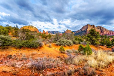 Her küçük at izi başta kuzey Arizona içinde Coconino National Forest, Amerika Birleşik Devletleri Sedona'da kasaba kırmızı kayalar Munds dağ vahşi tavuk noktasının bakıldığında 