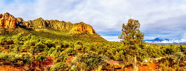 カラフルなカテドラル ロックと他の赤ロック ビレッジ オーク クリークとセドナ アリゾナ州の北部 アメリカ合衆国でココニーノ国有森林と山 — ストック写真