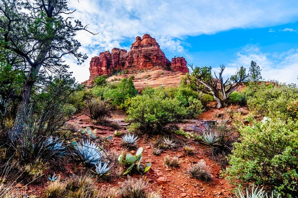 Bell Rock Muestra Vegetación Creciendo Las Rocas Rojas Suelo Rojo — Foto de Stock