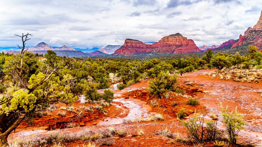 Streams and Puddles on the Red Rocks of Munds Mountain after a heavy rainfall near the town of Sedona in northern Arizona in Coconino National Forest, USA