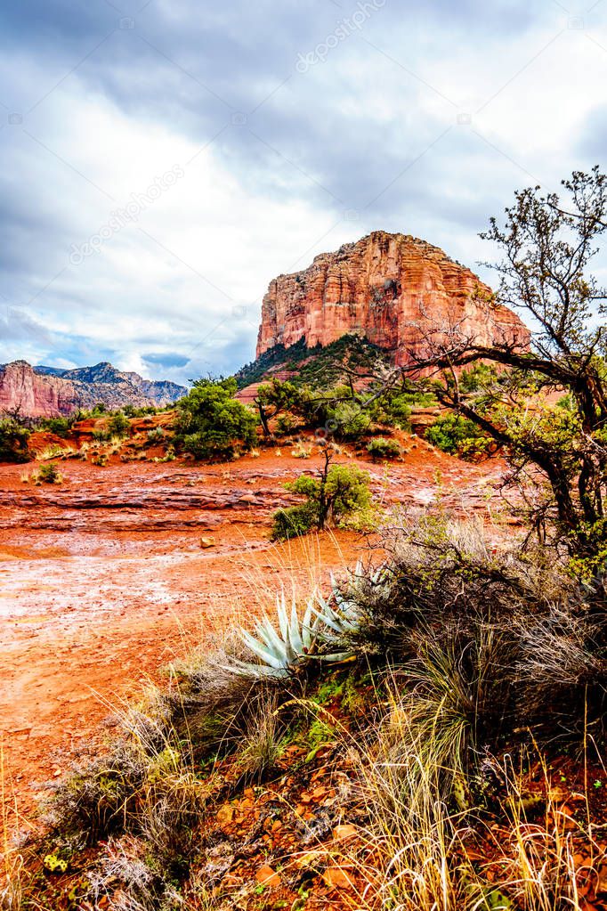 After rain showers, streams and puddles forming at Courthouse Butte, a famous red rock between the Village of Oak Creek and Sedona in northern Arizona's Coconino National Forest, USA