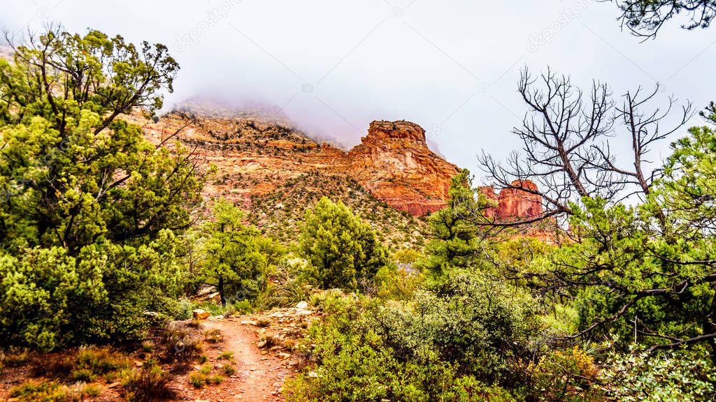 Streams and Puddles on the red sandstone hiking trails near Chimney Rock during heavy rainfall in Sedona, northern Arizona, United Sates of America