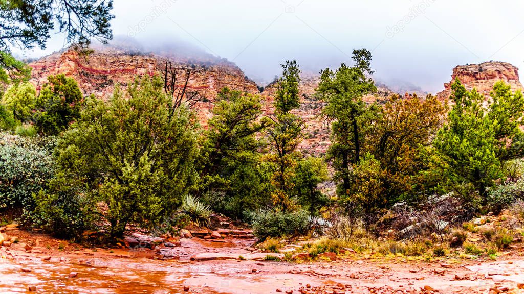 Streams and Puddles on the red sandstone hiking trails near Chimney Rock during heavy rainfall in Sedona, northern Arizona, United Sates of America