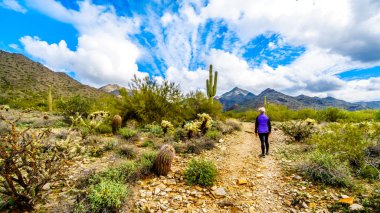 Kıdemli Mcdowell Sonaran korumak yakınındaki Scottsdale, Arizona, Amerika Birleşik Devletleri içinde dalgakıran izinde hiking kadın