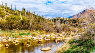 Kuzey Arizona 'da McDowell Sıradağları 'nda neredeyse kuru Sycamore Creek Arizona log Coral Wash çıkış Sr87