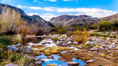 Kuzey Arizona 'da McDowell Sıradağları 'nda neredeyse kuru Sycamore Creek Arizona log Coral Wash çıkış Sr87