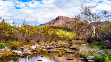The almost dry Sycamore Creek in the McDowell Mountain Range in Northern Arizona at the Log Coral Wash Exit of Arizona SR87 clipart