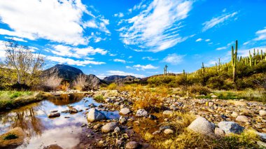 Kuzey Arizona 'da McDowell Sıradağları 'nda neredeyse kuru Sycamore Creek Arizona log Coral Wash çıkış Sr87