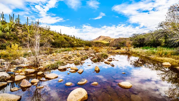 Téměř Suchý Sycamore Creek Pohoří Mcdowell Severní Arizoně Sr87 — Stock fotografie
