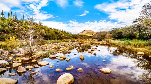 Kuzey Arizona 'da McDowell Sıradağları 'nda neredeyse kuru Sycamore Creek Arizona log Coral Wash çıkış Sr87