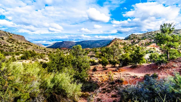 亚利桑那州北部橡树溪村附近的先锋平旗路红色岩石国家的山区 植被五花八门 — 图库照片