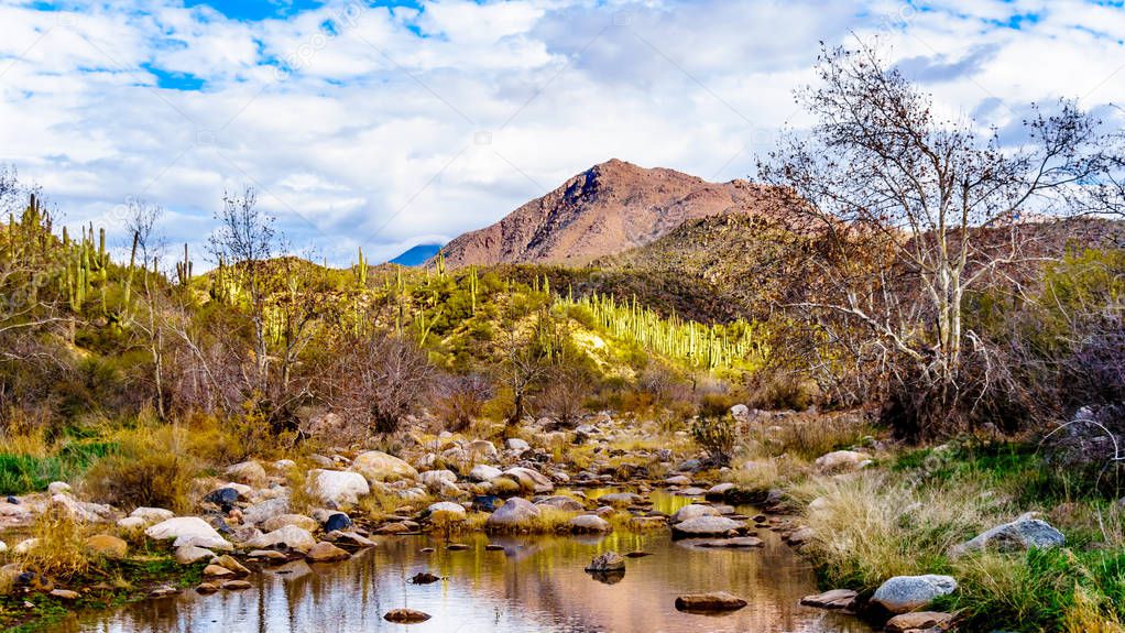 The almost dry Sycamore Creek in the McDowell Mountain Range in Northern Arizona at the Log Coral Wash Exit of Arizona SR87