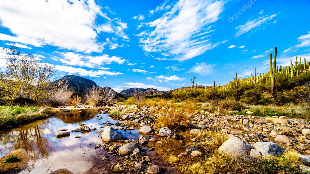 The almost dry Sycamore Creek in the McDowell Mountain Range in Northern Arizona at the Log Coral Wash Exit of Arizona SR87