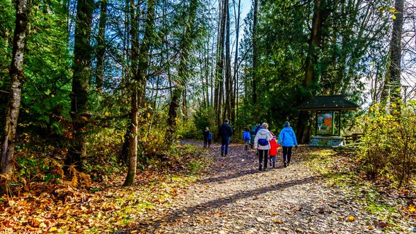 Mission Canada Novembro 2018 Família Caminhando Pelas Trilhas Silverdale Creek — Fotografia de Stock