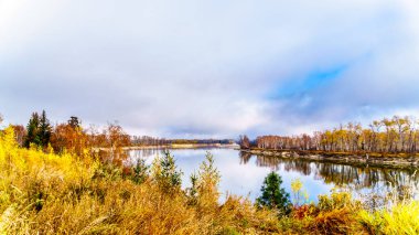 Sonbahar renkleri çevresinde Kuzey Thompson Nehri Barriere ve Clearwater, British Columbia, Kanada