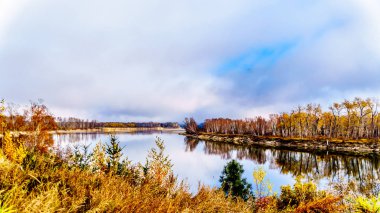 Sonbahar renkleri çevresinde Kuzey Thompson Nehri Barriere ve Clearwater, British Columbia, Kanada
