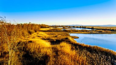 Winter Sunset over ocean side Wetlands of the Reifel Bird Sanctuary in the Alaksen National Wildlife Area on Westham Island near Ladner, British Columbia, Canada