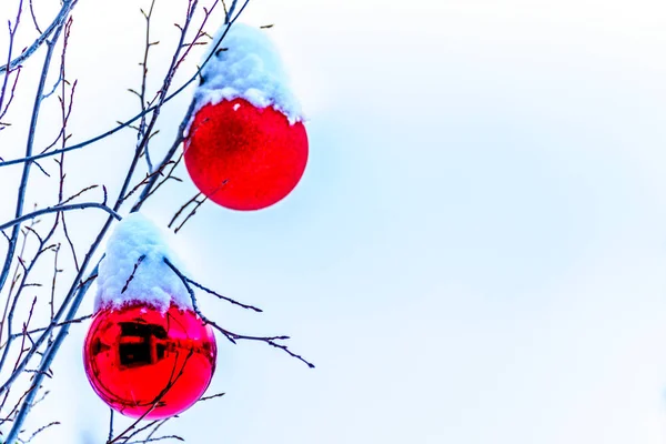 Снег Покрыл Красные Рождественские Украшения Висящие Ветвях Елки Лыжной Деревне — стоковое фото
