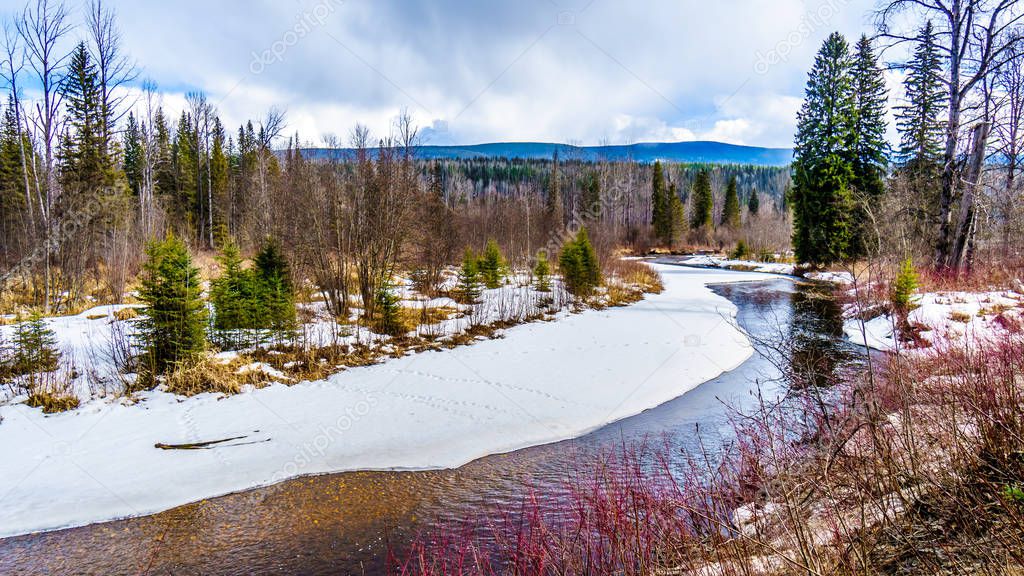 Snow and ice lining the creeks and wetlands in winter time Wells Gray Provincial Park in the Cariboo Mountains of British Columbia, Canada