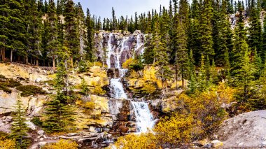 Jasper Milli Parkı'nda Columbia Icefields Parkway içinde Kanada Rocky Dağları tarafında dolaştırmak düşüyor