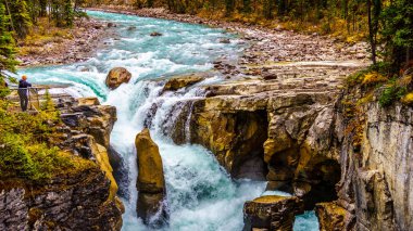 Sunwapta Nehri 'nin çalkantılı turkuaz suyu Jasper Şelalesi' ndeki Kanadalı Rocky Dağları 'ndaki Jasper Ulusal Parkı' nda düşüyor.