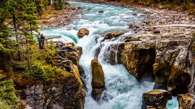 Sunwapta Nehri 'nin çalkantılı turkuaz suyu Jasper Şelalesi' ndeki Kanadalı Rocky Dağları 'ndaki Jasper Ulusal Parkı' nda düşüyor.