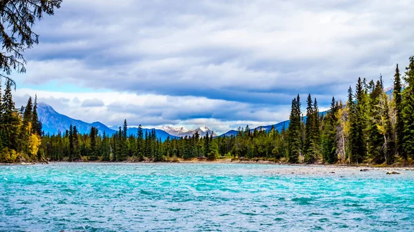 Meeting Rivers Location Athabasca River Whirlpool River Meet Jasper National — Stock Photo, Image