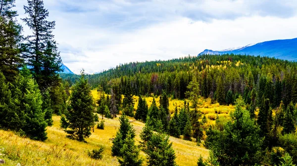 Colores Otoño Una Ruta Senderismo Valle Los Cinco Lagos Trail — Foto de Stock