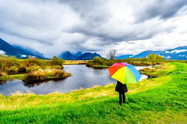 Woman with a rainbow colored Umbrella under dark rain clouds on a cold spring day at the lagoons of Pitt-Addington Marsh in Pitt Polder near Maple Ridge in British Columbia, Canada