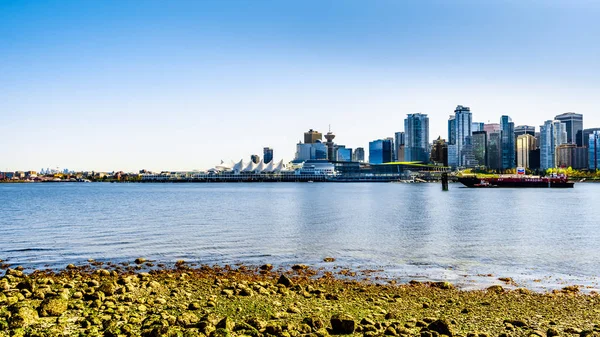 Vancouver. Bc/Kanada-24 Mayıs 2019: Vancouver Silüeti ve Limanı'nın görünümü. Stanley Park Seawall yolundan görüntülendi