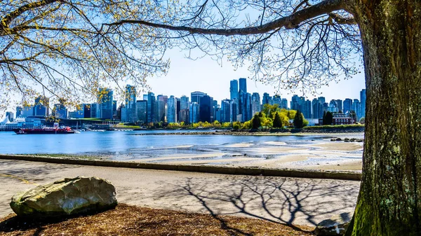 Vancouver Kanada Május 2019 Tekintettel Vancouver Skyline Nézett Stanley Park — Stock Fotó