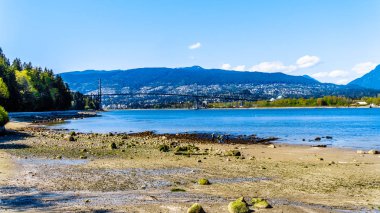 Vancouver Stanley Park ve Kuzey Vancouver ve Batı Vancouver belediyeleri bağlayan bir asma köprü Lions Gate Köprüsü görünümü. Stanley Park'taki Seawall yolundan görüntülendi