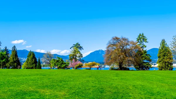 Relvado Verde Brockton Point Stanley Park Vancouver — Fotografia de Stock