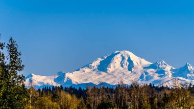 Mount Baker, Washington State atıl bir yanardağ Abbotsford British Columbia yakınlarındaki Glen Vadisi'nden izlendi, Kanada güzel bir kış gününde açık mavi gökyüzü altında