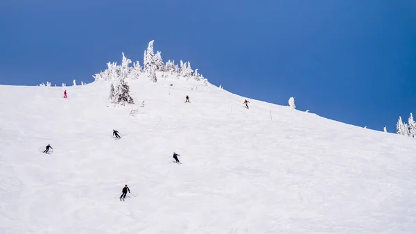 在加拿大不列颠哥伦比亚省中部舒伊普高地太阳峰高山村的高山滑雪山坡上滑雪滑雪滑雪 — 图库照片