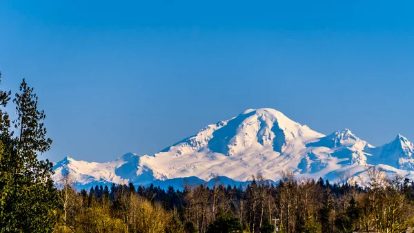 Mount Baker, a dormant volcano in Washington State viewed from Glen Valley near Abbotsford British Columbia, Canada under clear blue sky on a nice winter day